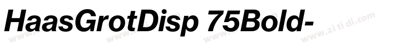 HaasGrotDisp 75Bold字体转换